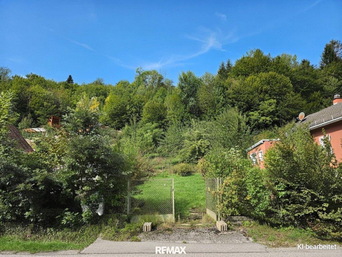 Blick vom Weg auf ein bewachsenes Hanggrundstück mit Zaun und Wald im Hintergrund unter blauem Himmel.