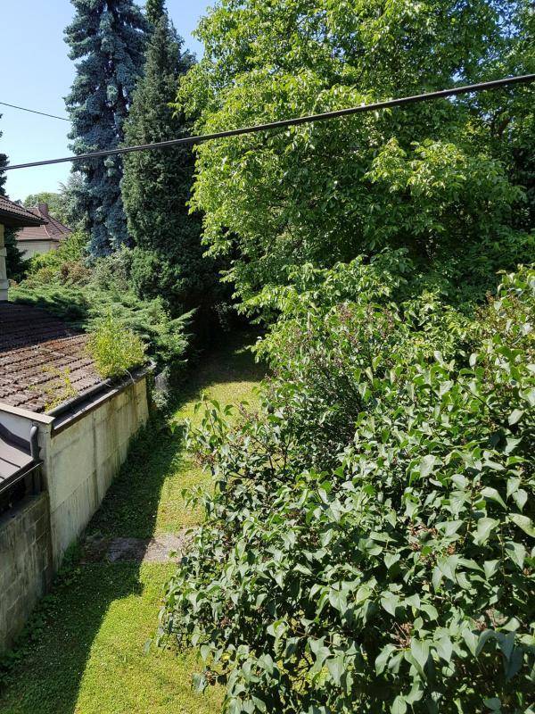 Üppiger grüner Gartenbereich mit hohen Bäumen und dichten Büschen, ideal zum Entspannen.