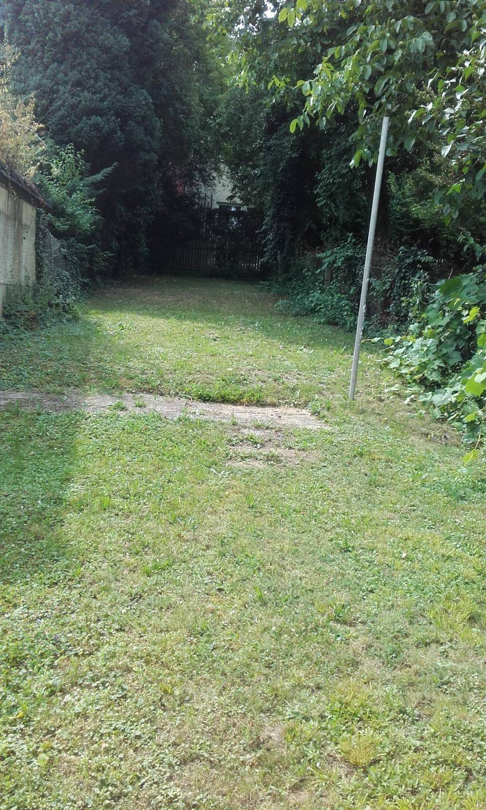 Offene Rasenfläche im Garten, umgeben von Bäumen und Sträuchern.