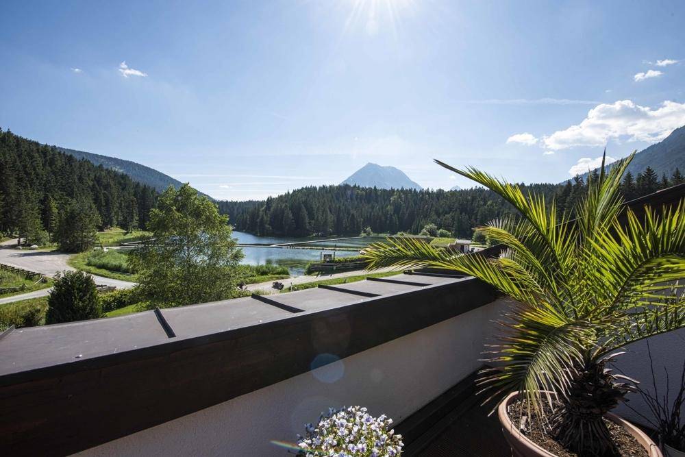 Sonniger Außenbereich mit Palmen und weitem Blick auf einen See und die umliegenden Berge.