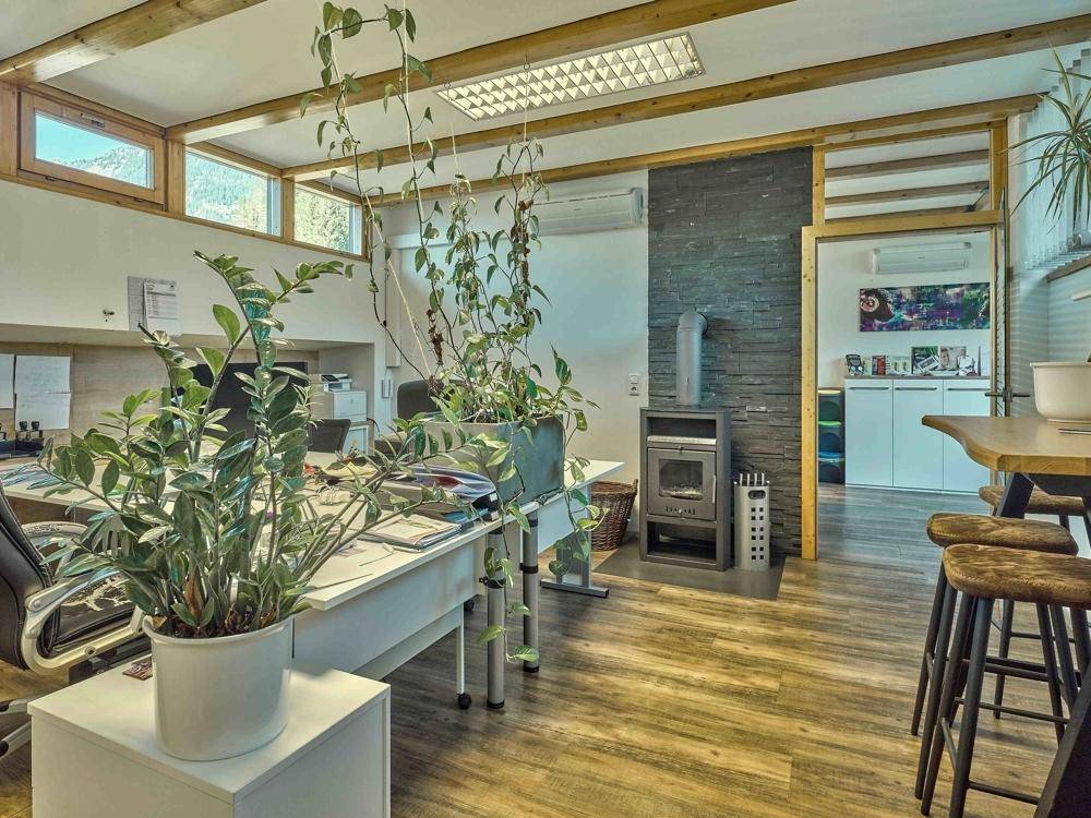 Geräumiges Büro mit Holzbalken, Pflanzen und einem modernen Kaminofen, der eine gemütliche Atmosphäre schafft.