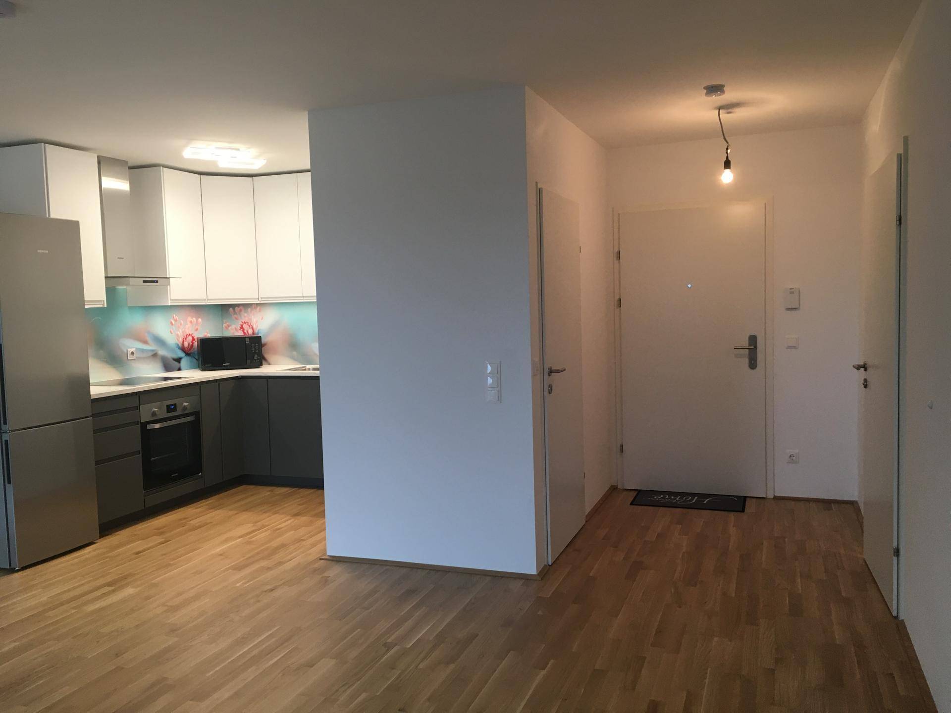Offener Wohnbereich mit integrierter Küche, Laminatboden und Eingangstür.