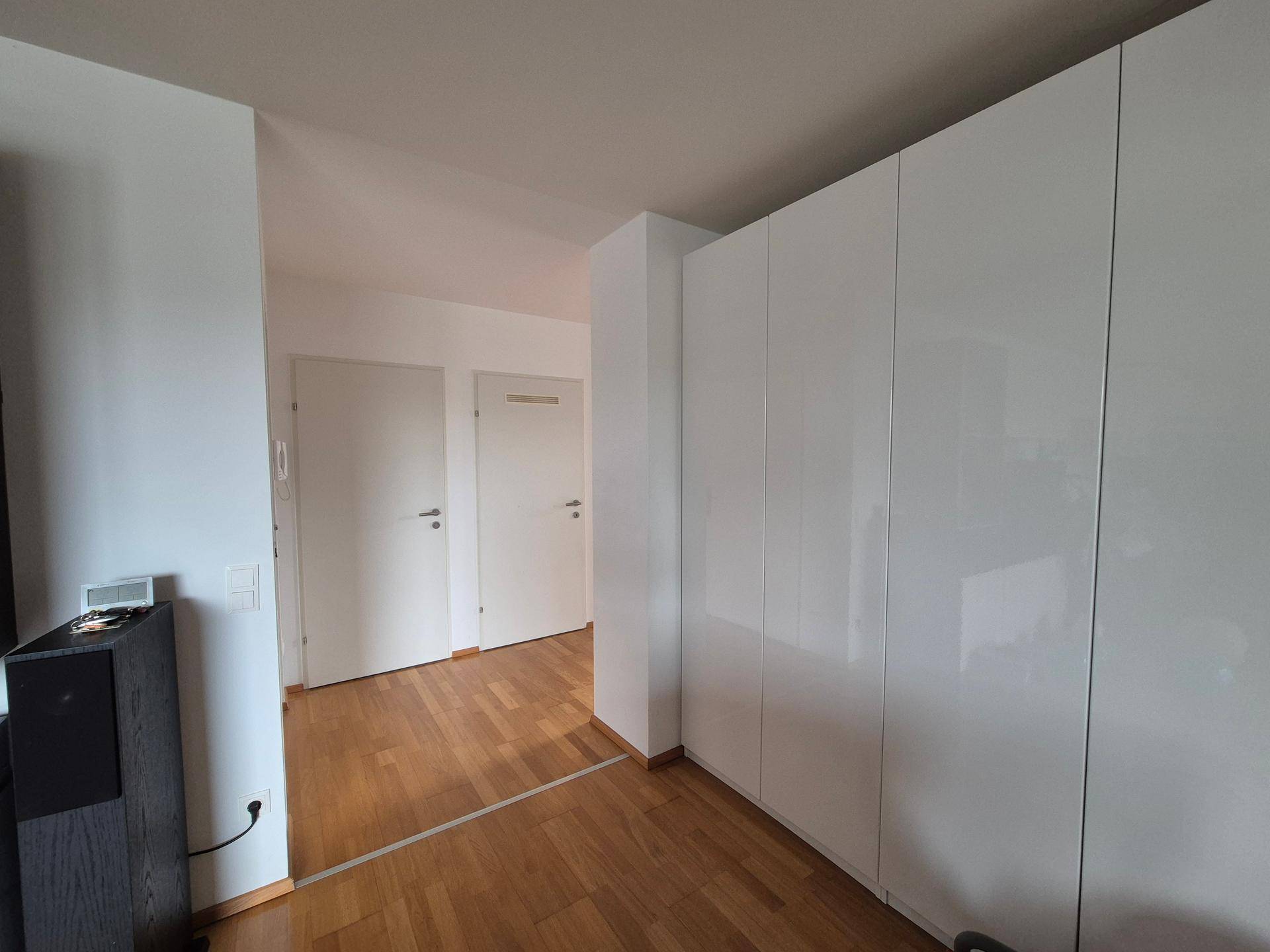 Eingangsbereich mit glänzenden weißen Einbauschränken und Holzfußboden.