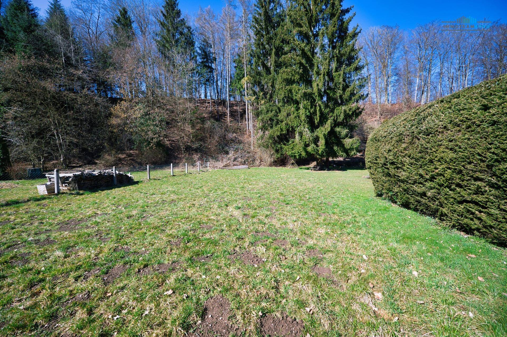 Rasenfläche mit Blick auf einen Waldrand und hohe Bäume unter blauem Himmel an einem sonnigen Tag.