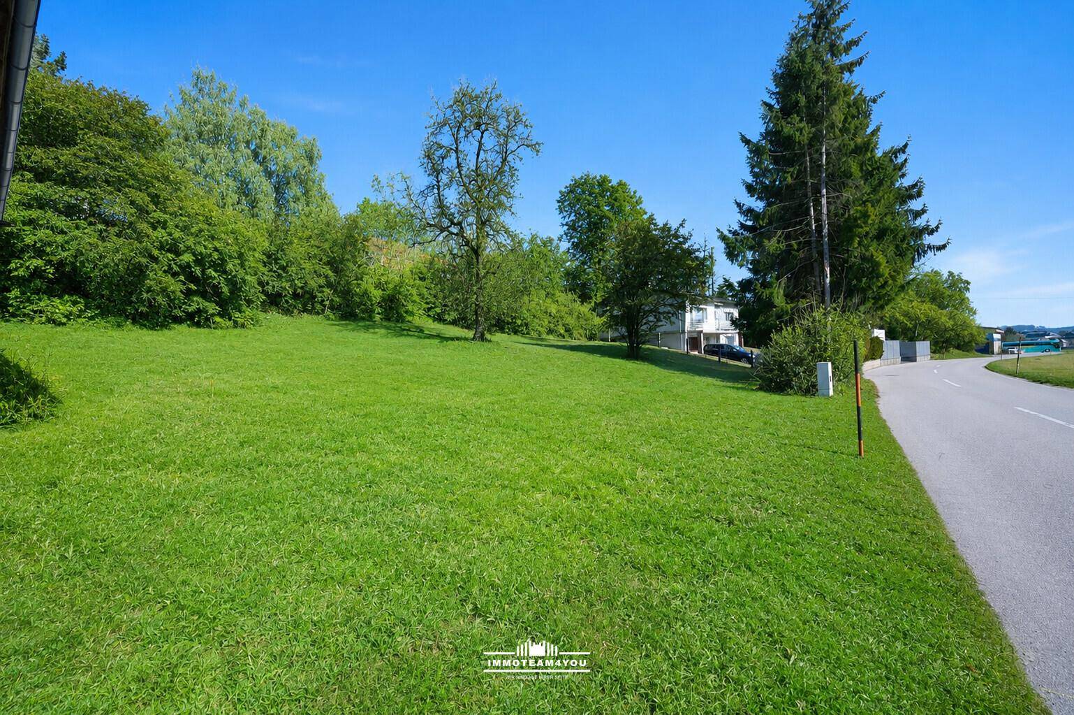 Große, sonnige Grünfläche mit Bäumen und einer Zufahrtsstraße im ländlichen Umfeld.