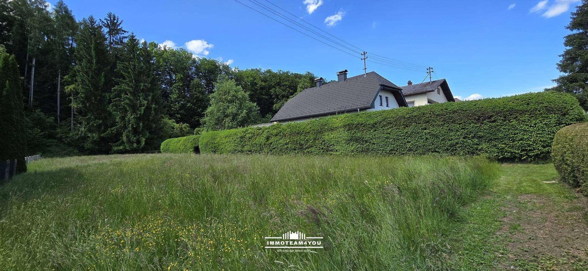 Überwachsene Rasenfläche mit einer hohen Hecke und einem Haus am Waldrand unter blauem Himmel.