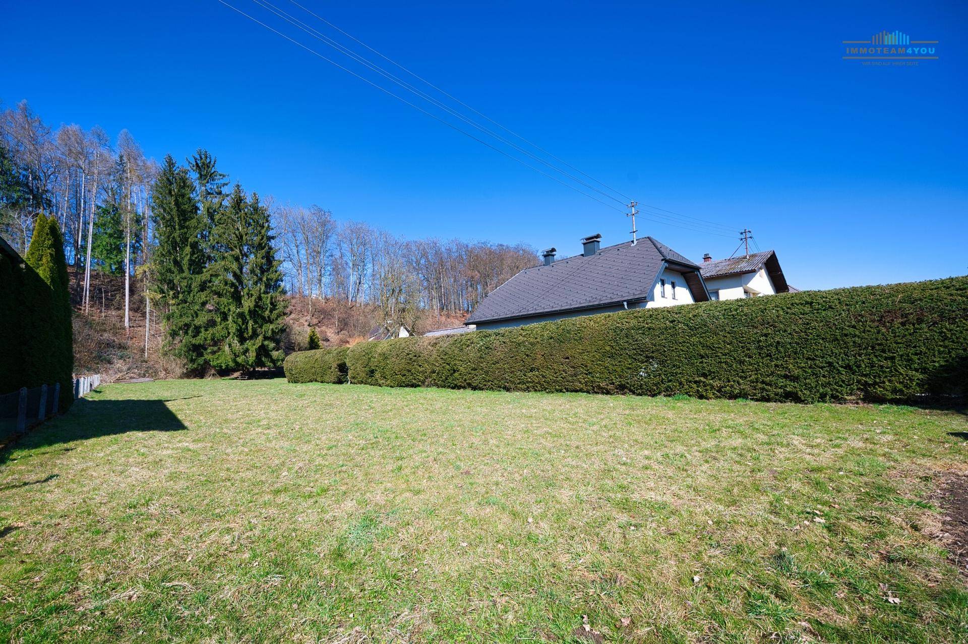 Große Rasenfläche mit einer hohen Hecke und einem Haus am Waldrand unter blauem Himmel.