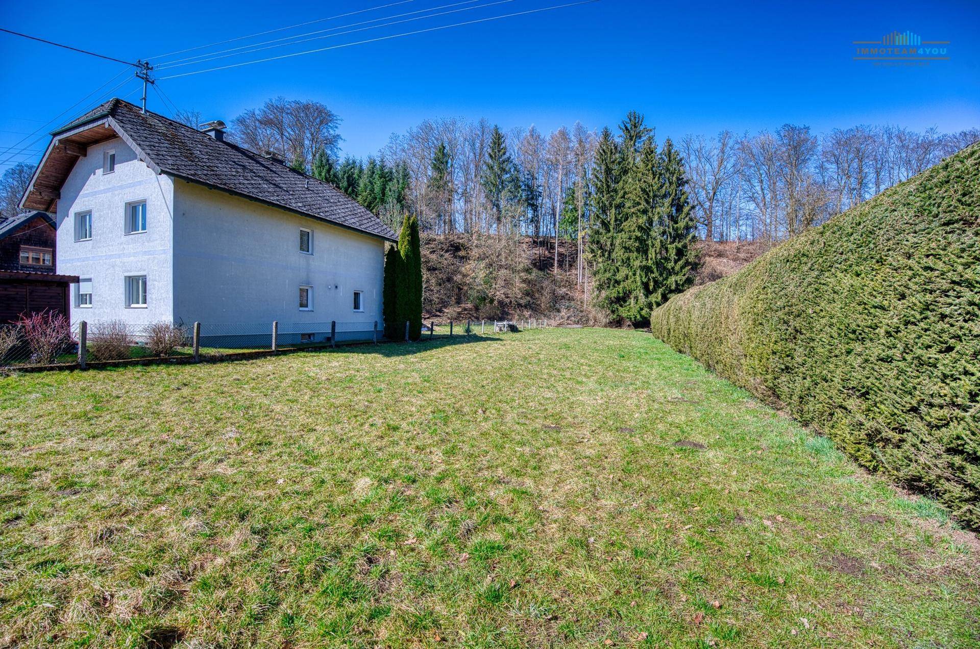 Große Rasenfläche neben einem weißen Haus und einer hohen grünen Hecke am Waldrand.