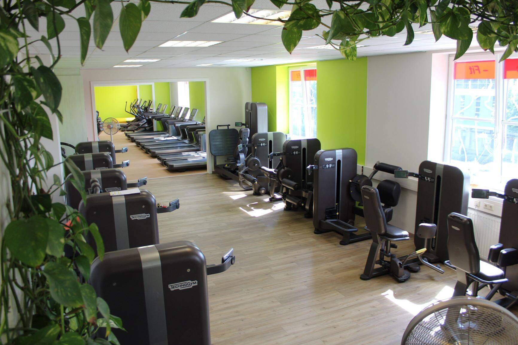 Geräumiger Fitnessraum mit Kraftgeräten, Pflanzen und Blick auf weitere Trainingsbereiche.