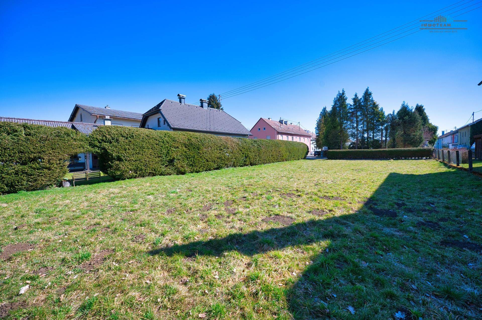 Sonnige Rasenfläche mit einer langen Hecke und benachbarten Häusern unter klarem, blauem Himmel.