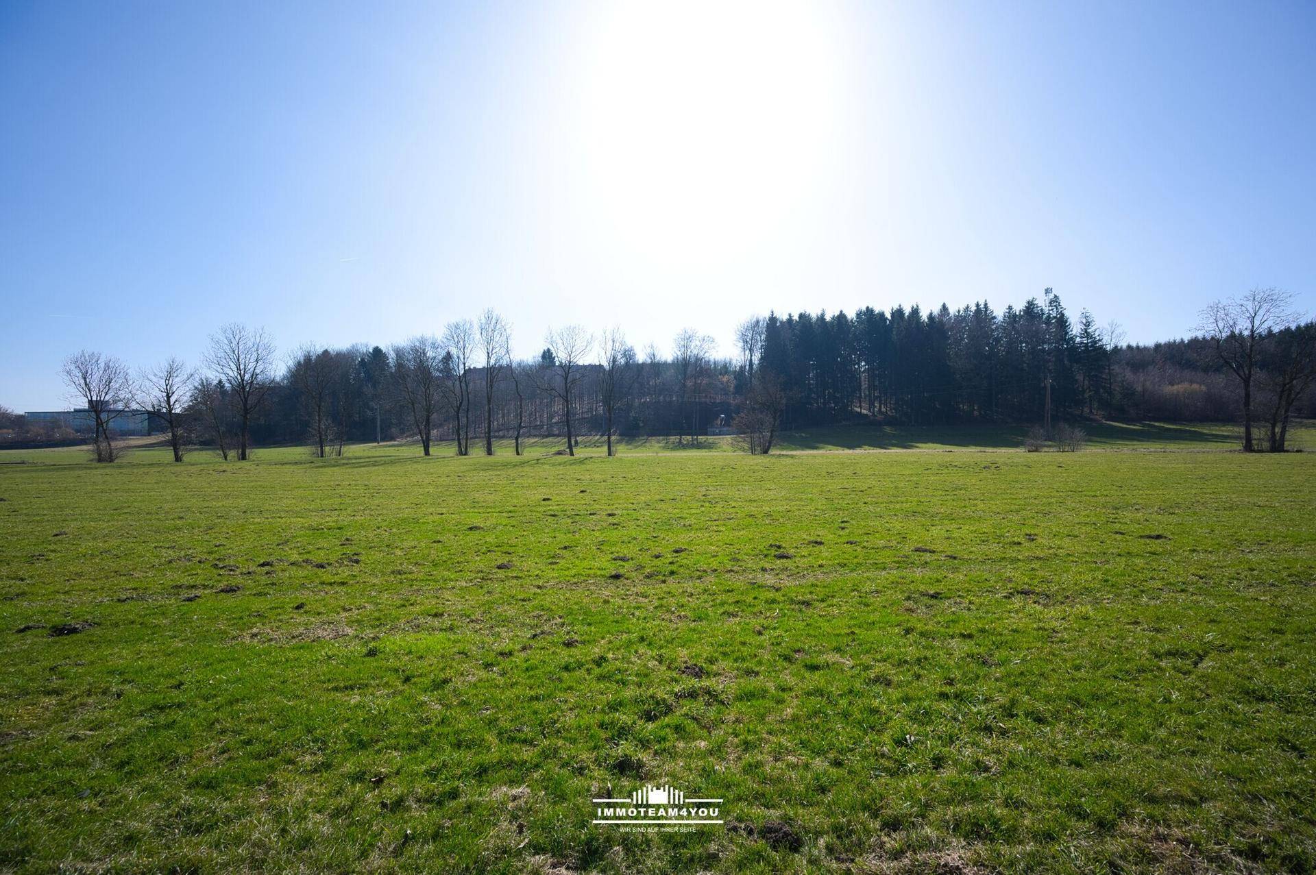 Weite, offene grüne Wiese unter strahlend blauem Himmel mit einem Wald am Horizont.
