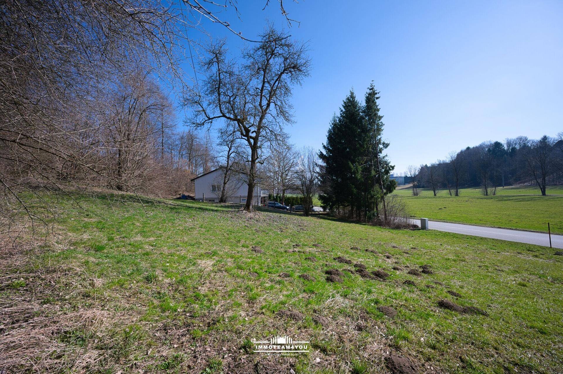 Offenes, grünes Grundstück mit einer Straße am Rand und einem Haus mit Bäumen im Hintergrund.