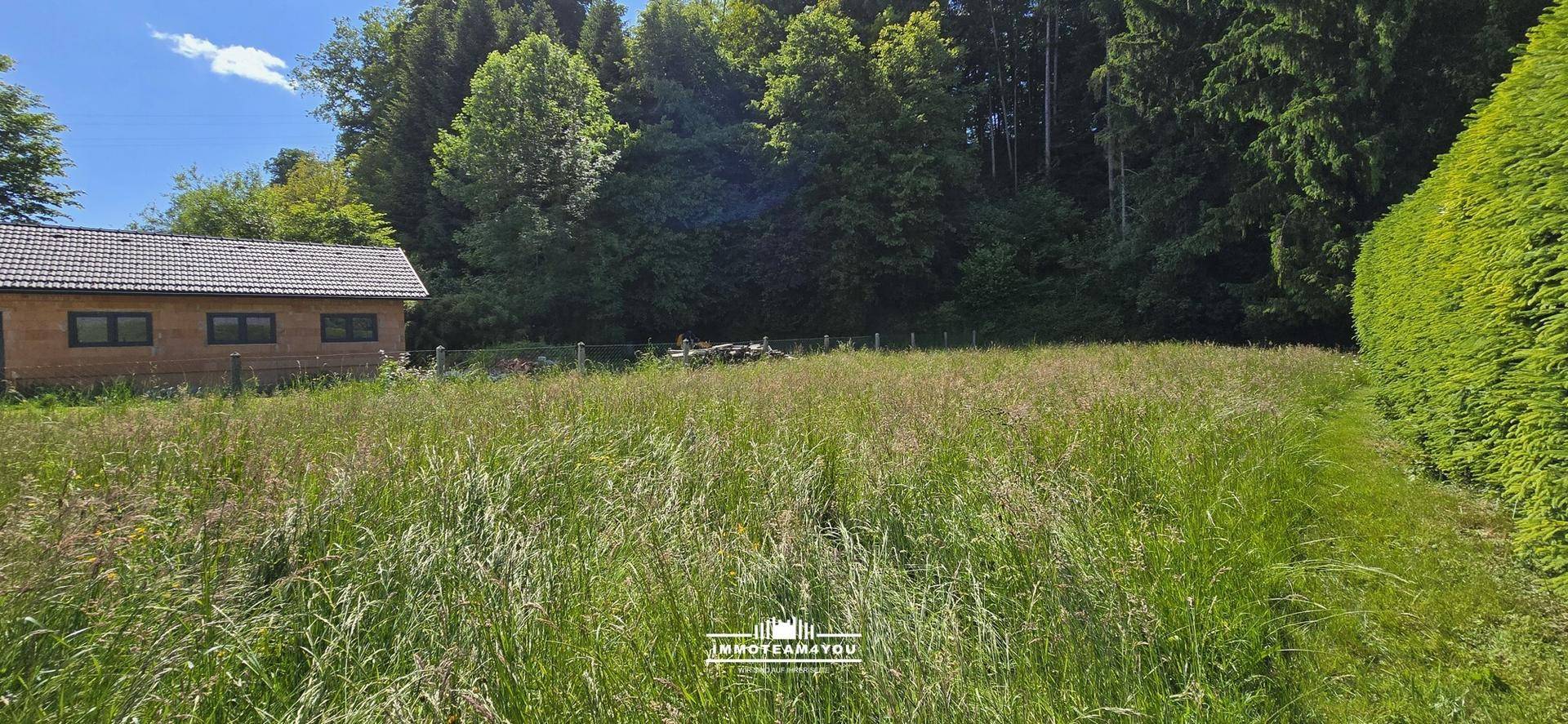 Überwachsene Rasenfläche mit einem Holzhaus und hohen Bäumen im Hintergrund unter blauem Himmel.