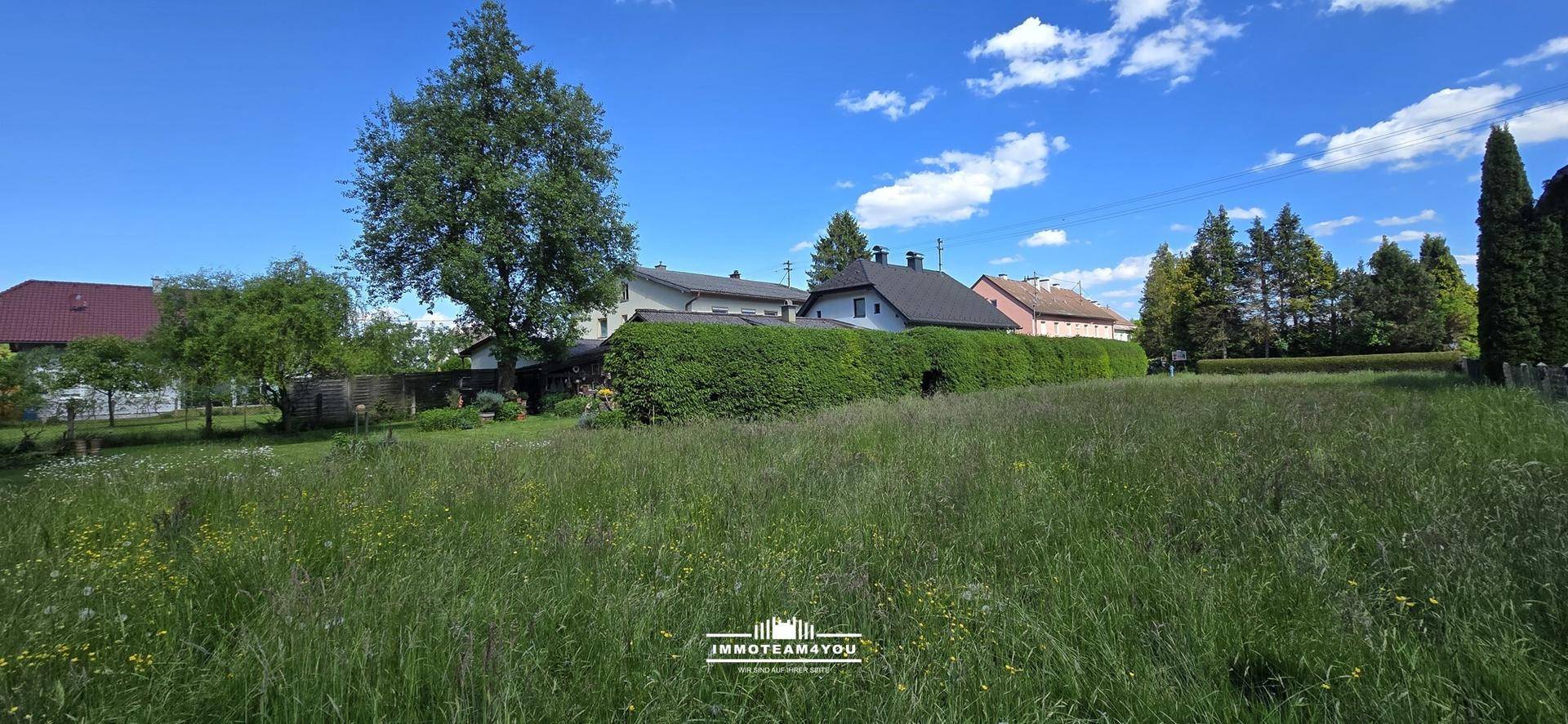 Weitläufige, überwachsene Rasenfläche mit benachbarten Häusern und Bäumen in der Ferne.