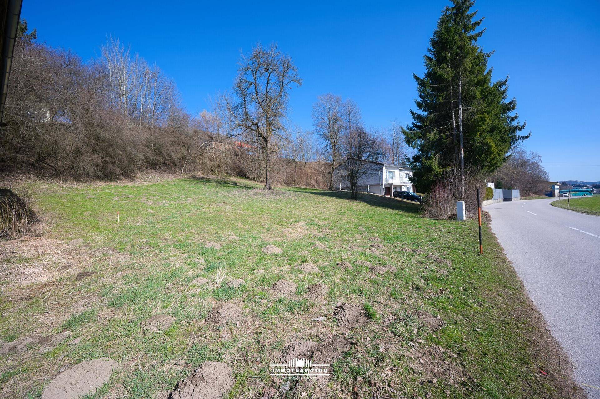 Grünes, leicht hügeliges Grundstück mit einer Straße und einem Haus umgeben von Bäumen.