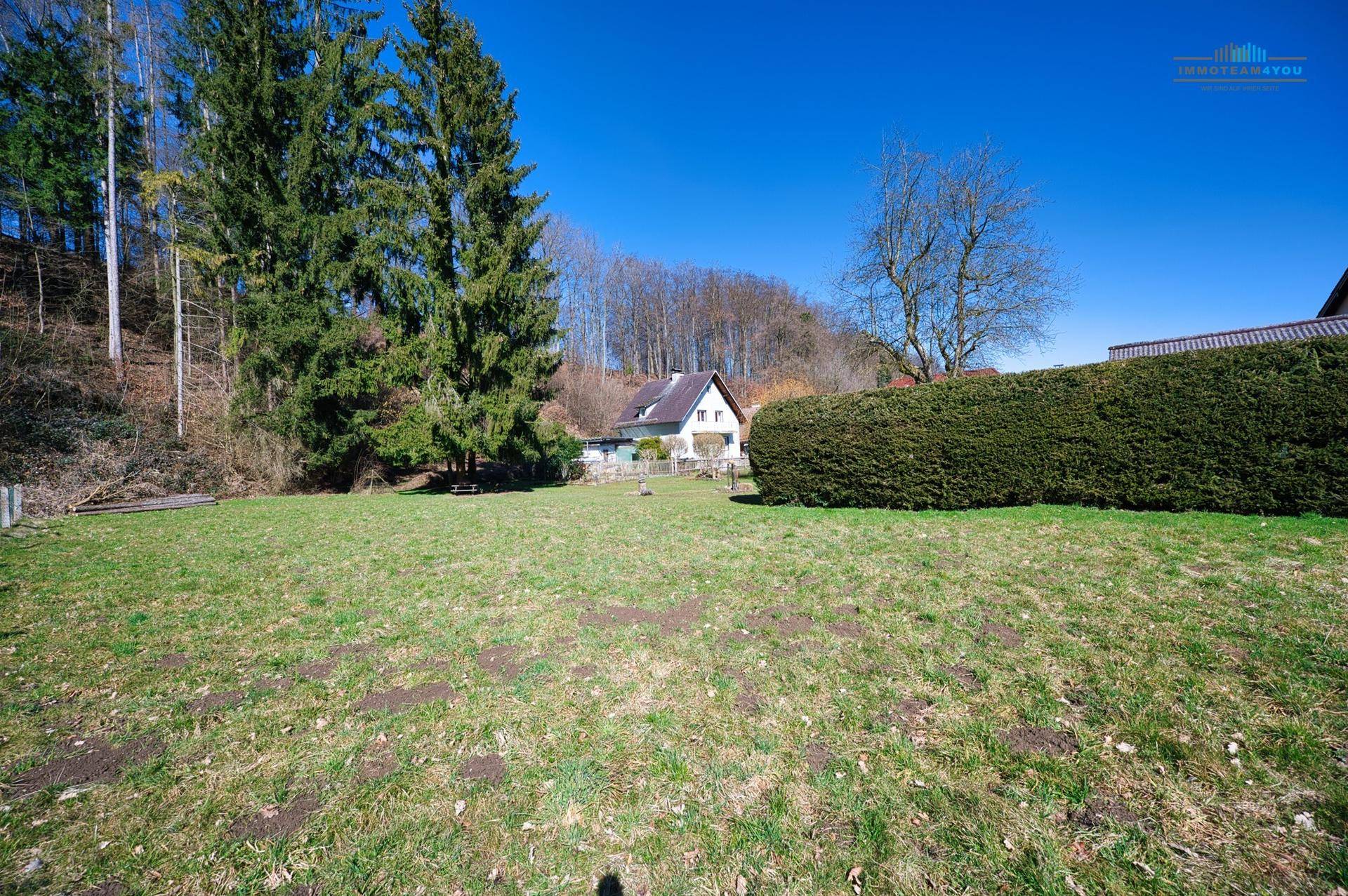Weitläufige Rasenfläche mit einem Wohnhaus und hohen Bäumen im Hintergrund an einem sonnigen Tag.