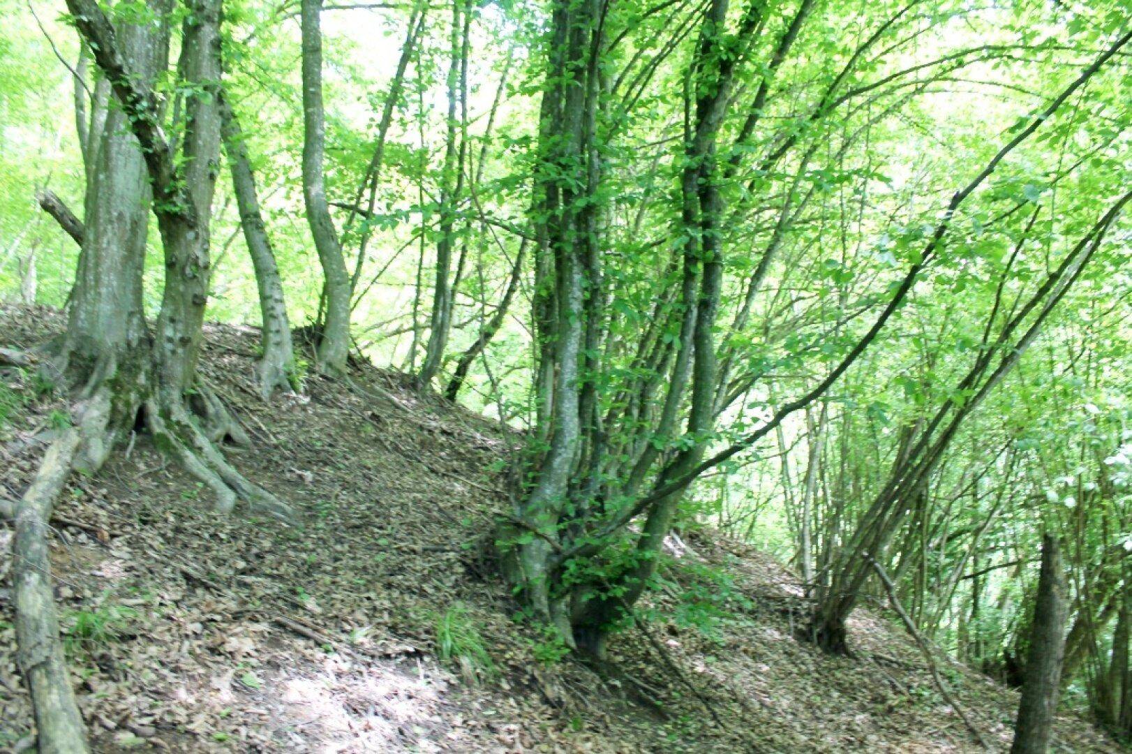 Slide 3