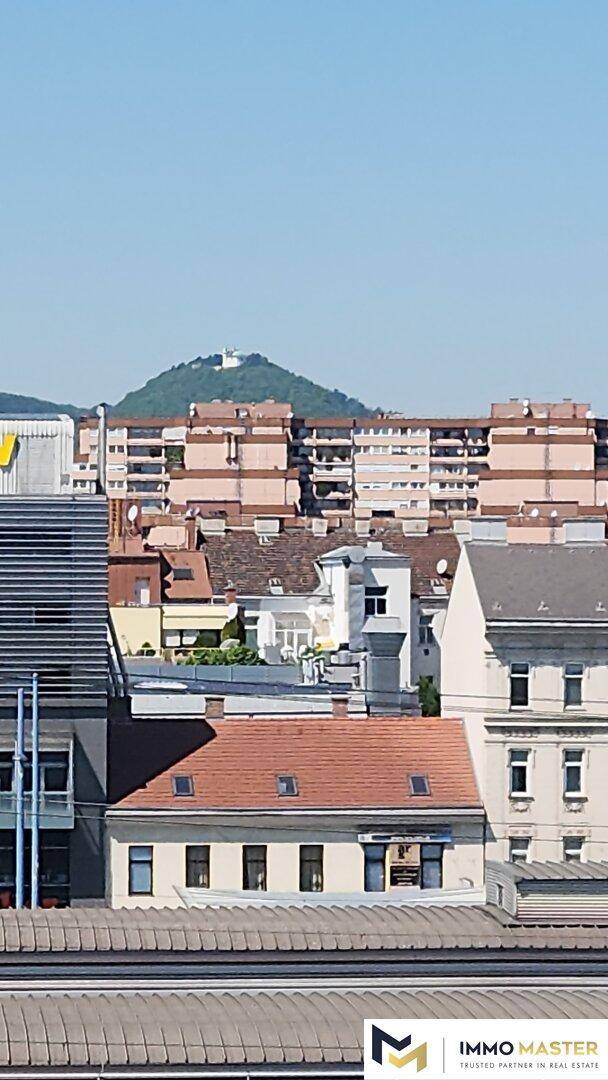 Panoramablick auf die Stadtlandschaft mit Gebäuden und einem fernen Berg im Hintergrund.