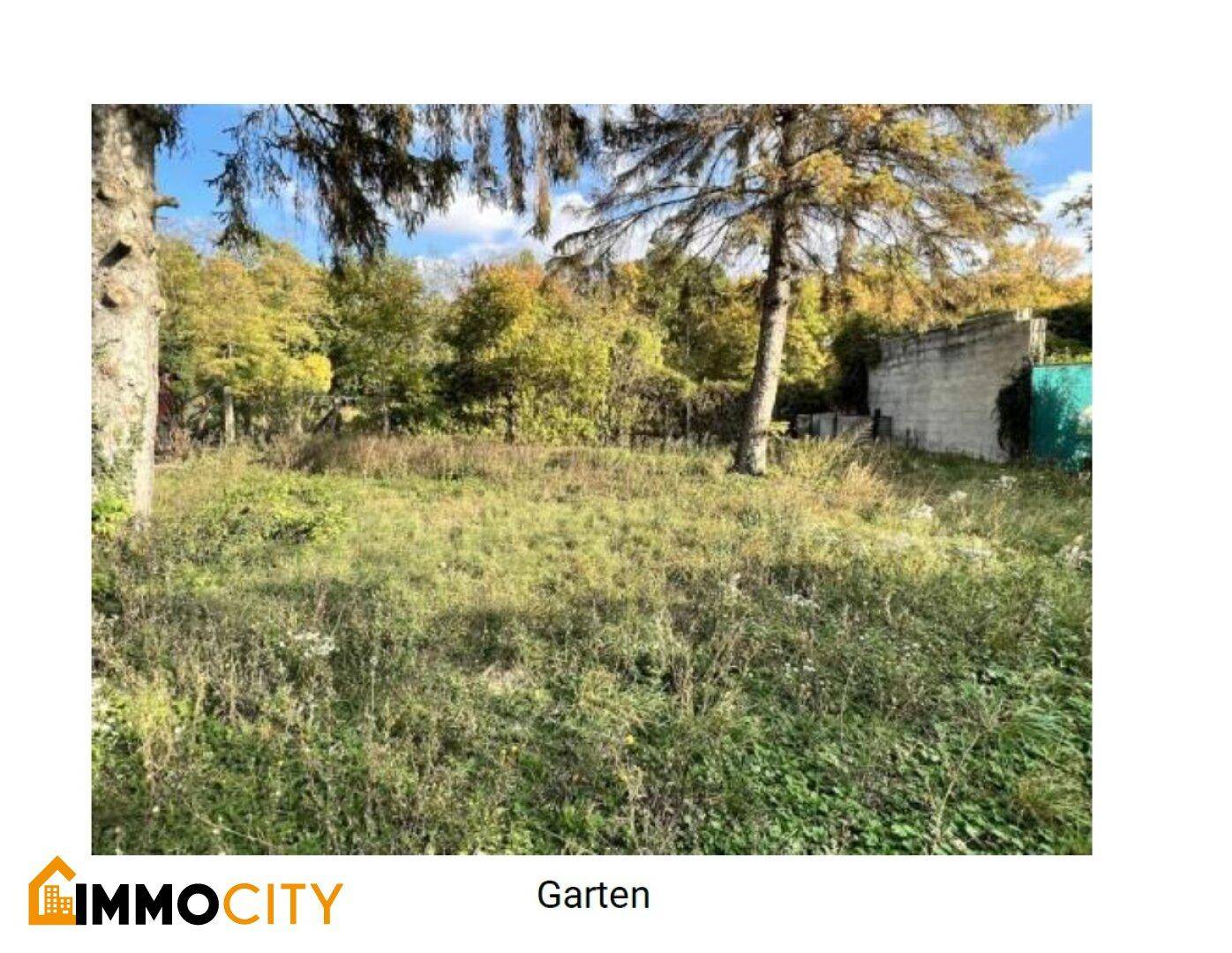 Großer, naturbelassener Gartenbereich mit hohen Bäumen und viel Potenzial zur Gestaltung.