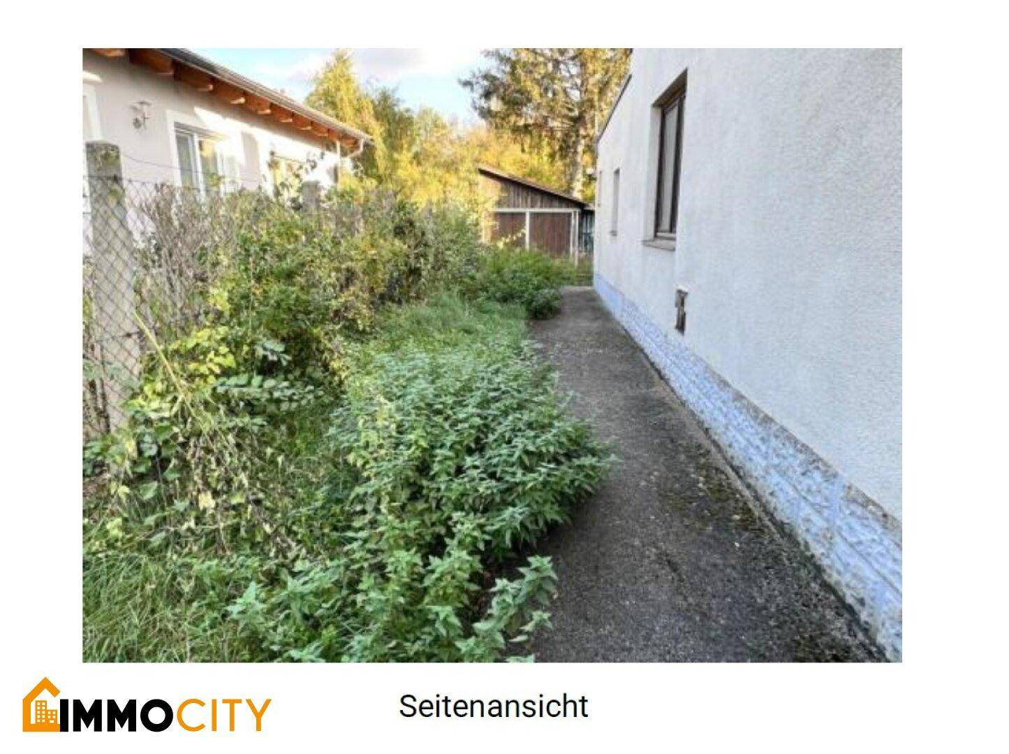 Seitenansicht des Hauses mit einem zugewachsenen Weg und üppiger Vegetation entlang der Fassade.