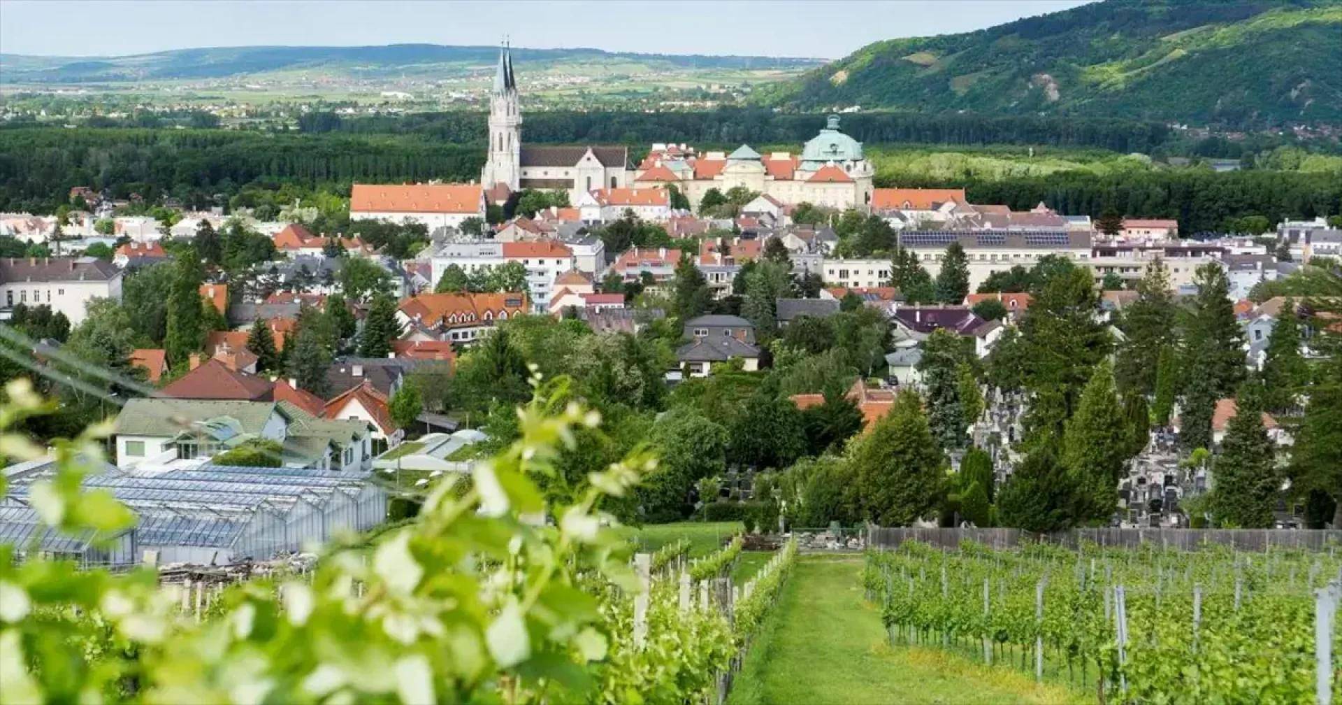 Panoramablick über eine malerische Stadt mit Kirche, umgeben von grünen Hügeln und Weinbergen im Vordergrund.