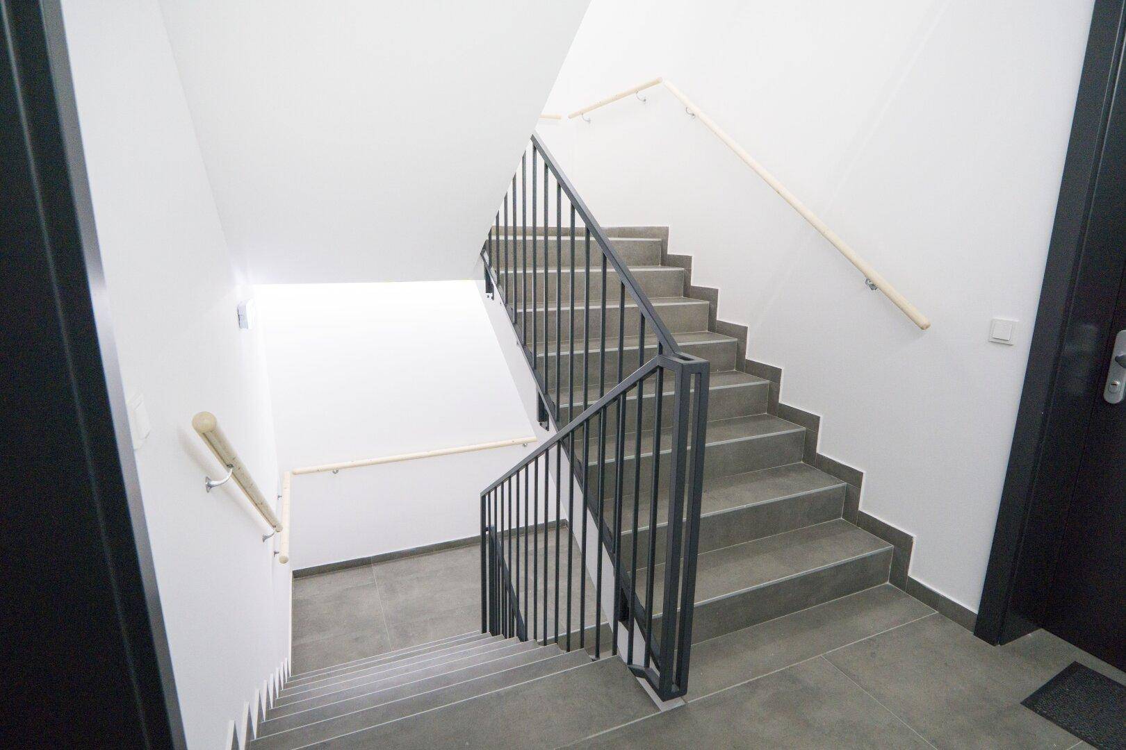 Modernes Treppenhaus mit dunklem Metallgeländer und hellem Holzhandlauf, verbindet die verschiedenen Etagen des Gebäudes.