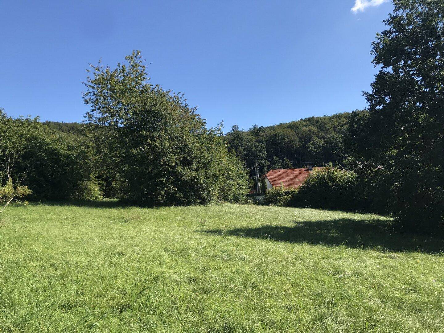 Weitläufige grüne Wiese mit Bäumen und Blick auf die umliegende Natur.