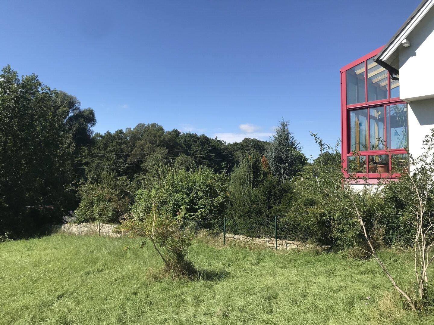 Grüne Wiese mit Bäumen und einem Teil des Hauses mit rotem Wintergarten.