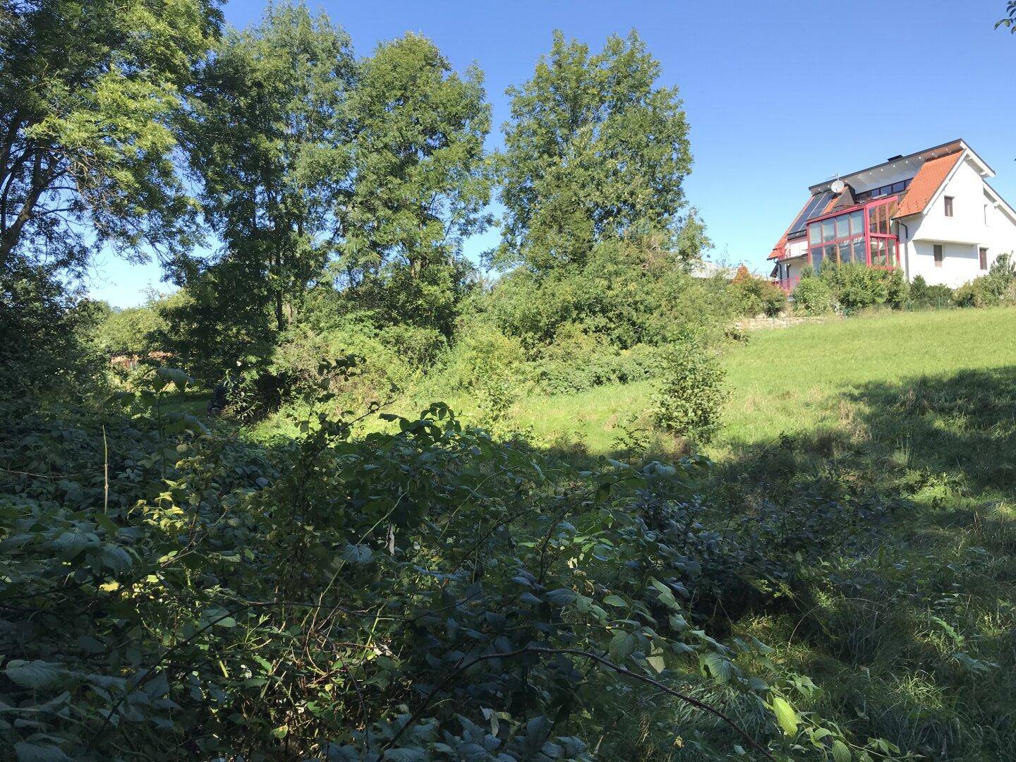 Üppig bewachsene Grünfläche mit einem Haus im Hintergrund und hügeligem Gelände.
