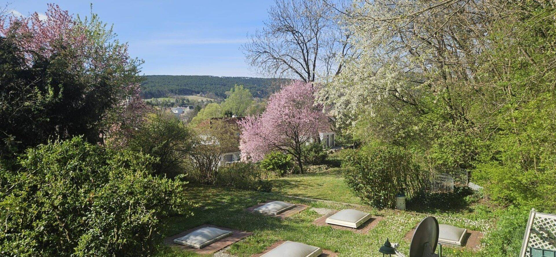 Gartenlandschaft mit blühenden Bäumen und mehreren Lichtkuppeln, die auf darunterliegende Räume hinweisen.