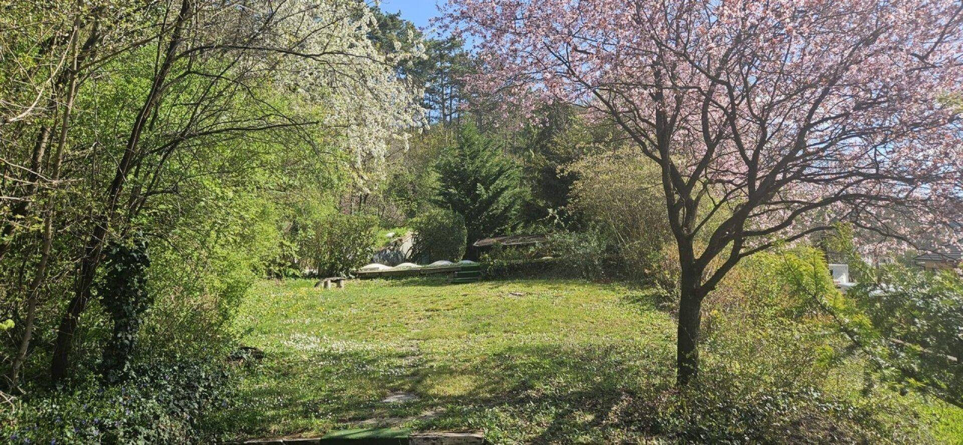 Grüner Gartenbereich mit blühenden Bäumen und Sträuchern unter strahlend blauem Himmel.