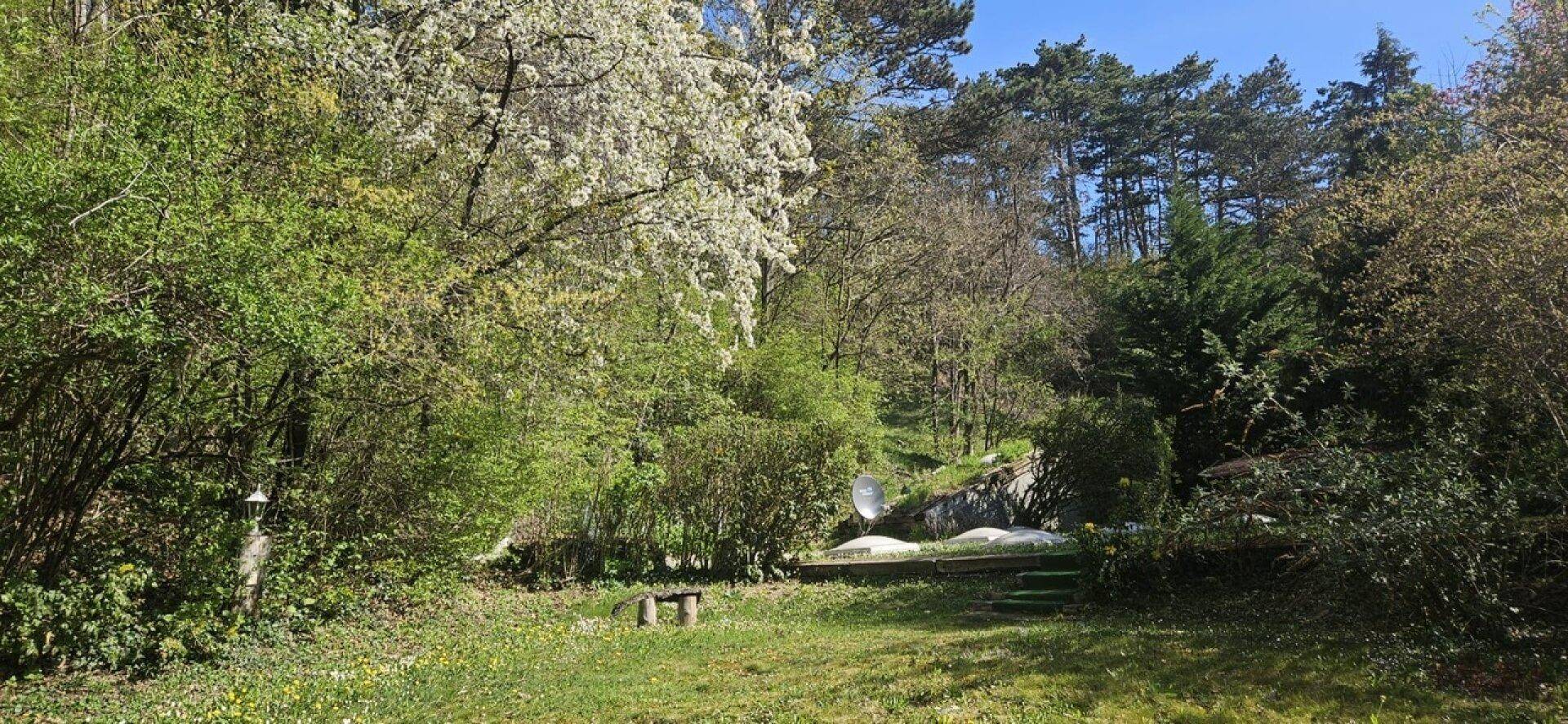 Üppiger, naturbelassener Gartenbereich mit vielfältiger Vegetation und einem kleinen Sitzbereich.
