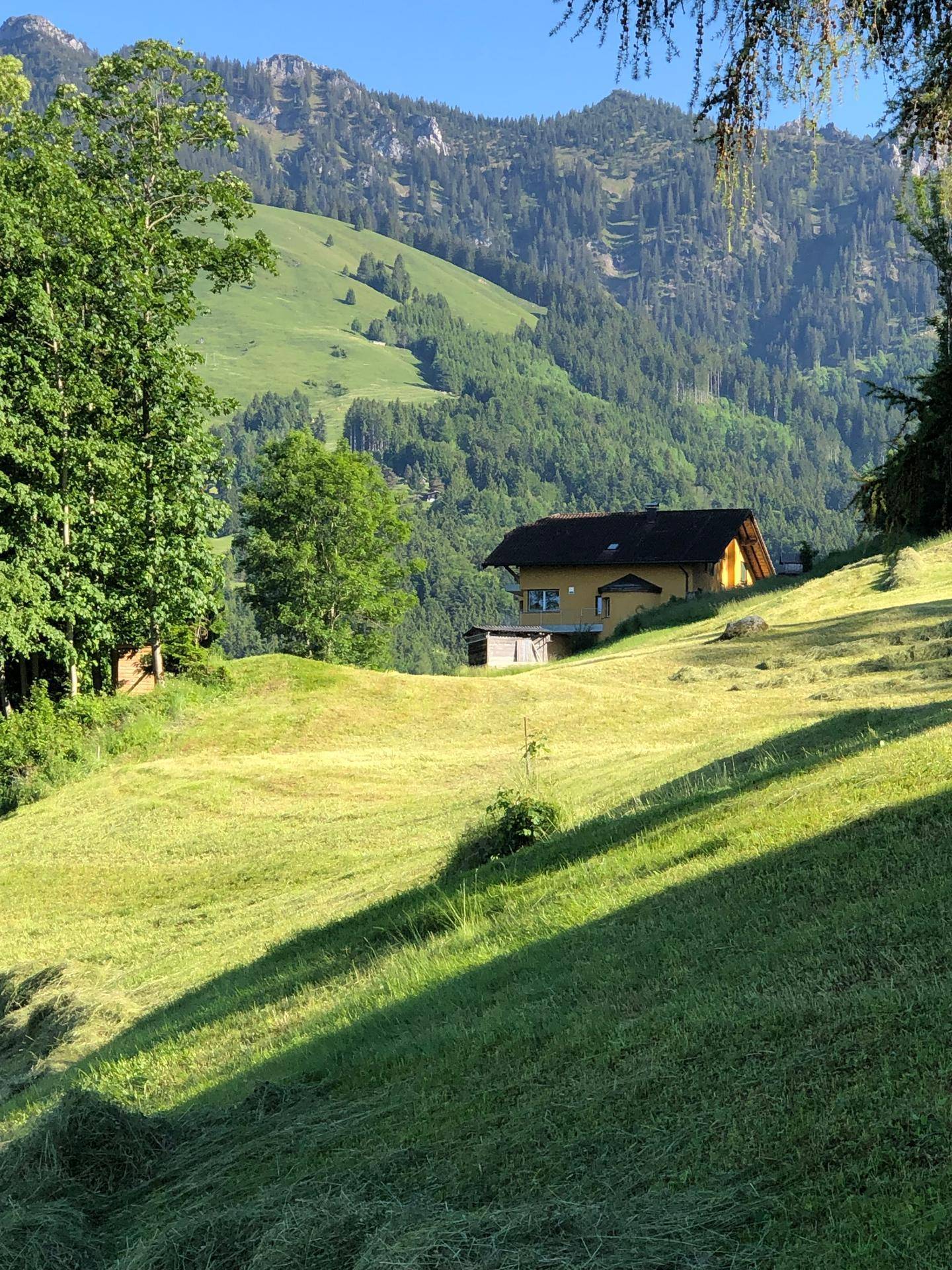 Idyllisches gelbes Haus in einer weitläufigen grünen Berglandschaft unter strahlend blauem Himmel.
