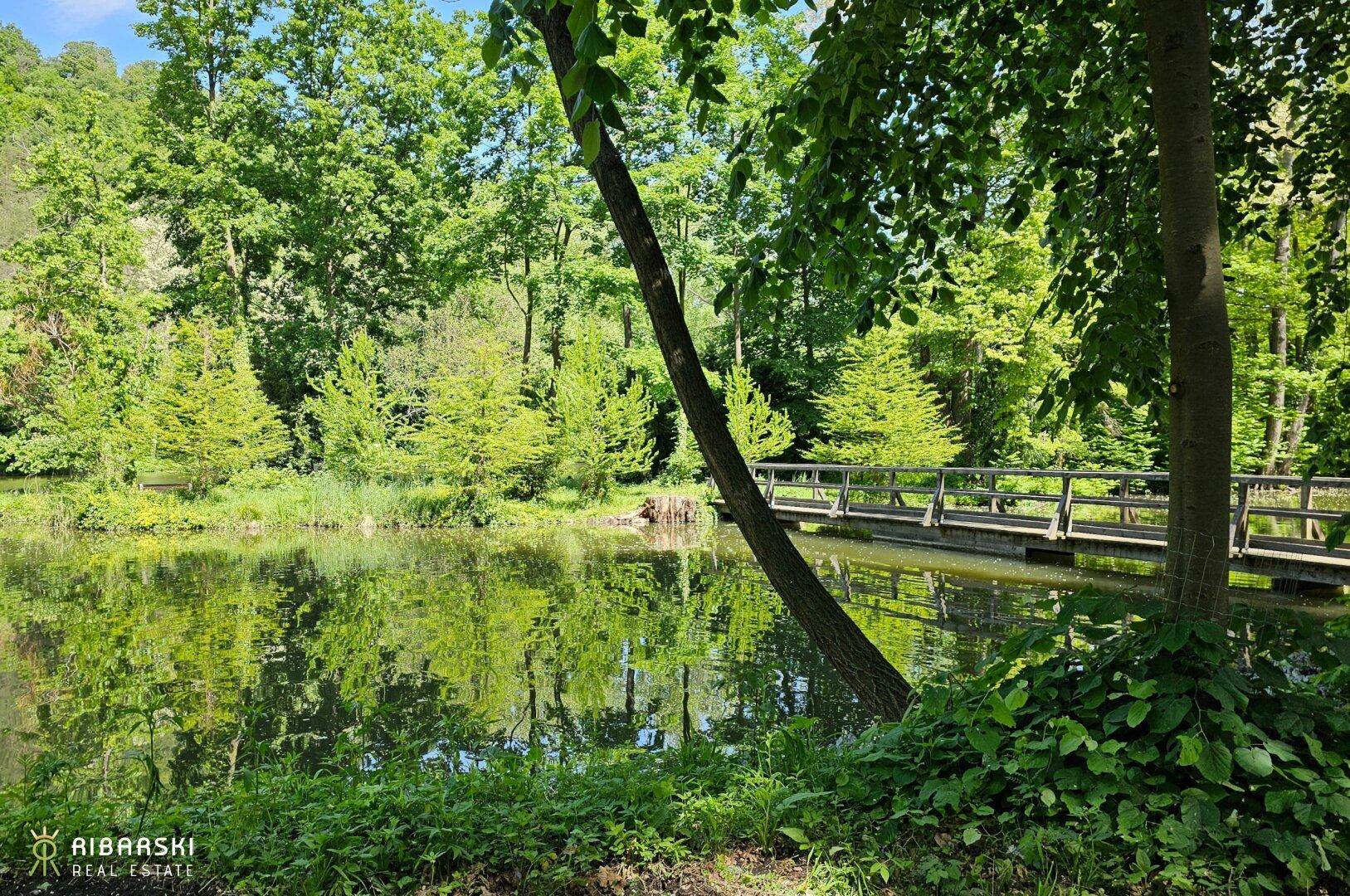 Teich mit Insel