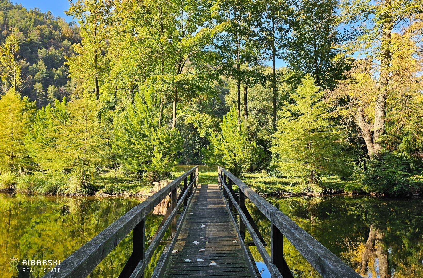 Teich mit Brücke, Herbst