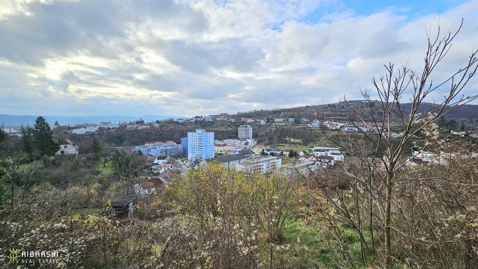 Panoramablick über die Stadt und die umliegende grüne Hügellandschaft unter bewölktem Himmel.