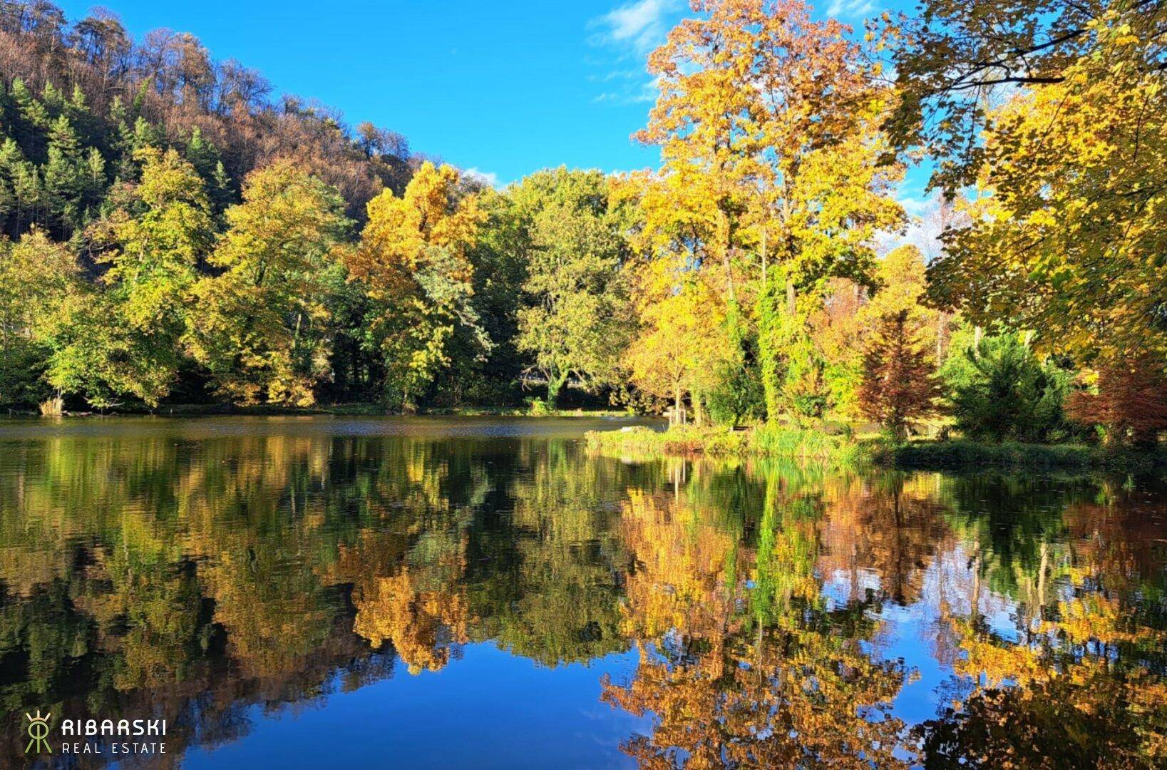 Teich im Herbst