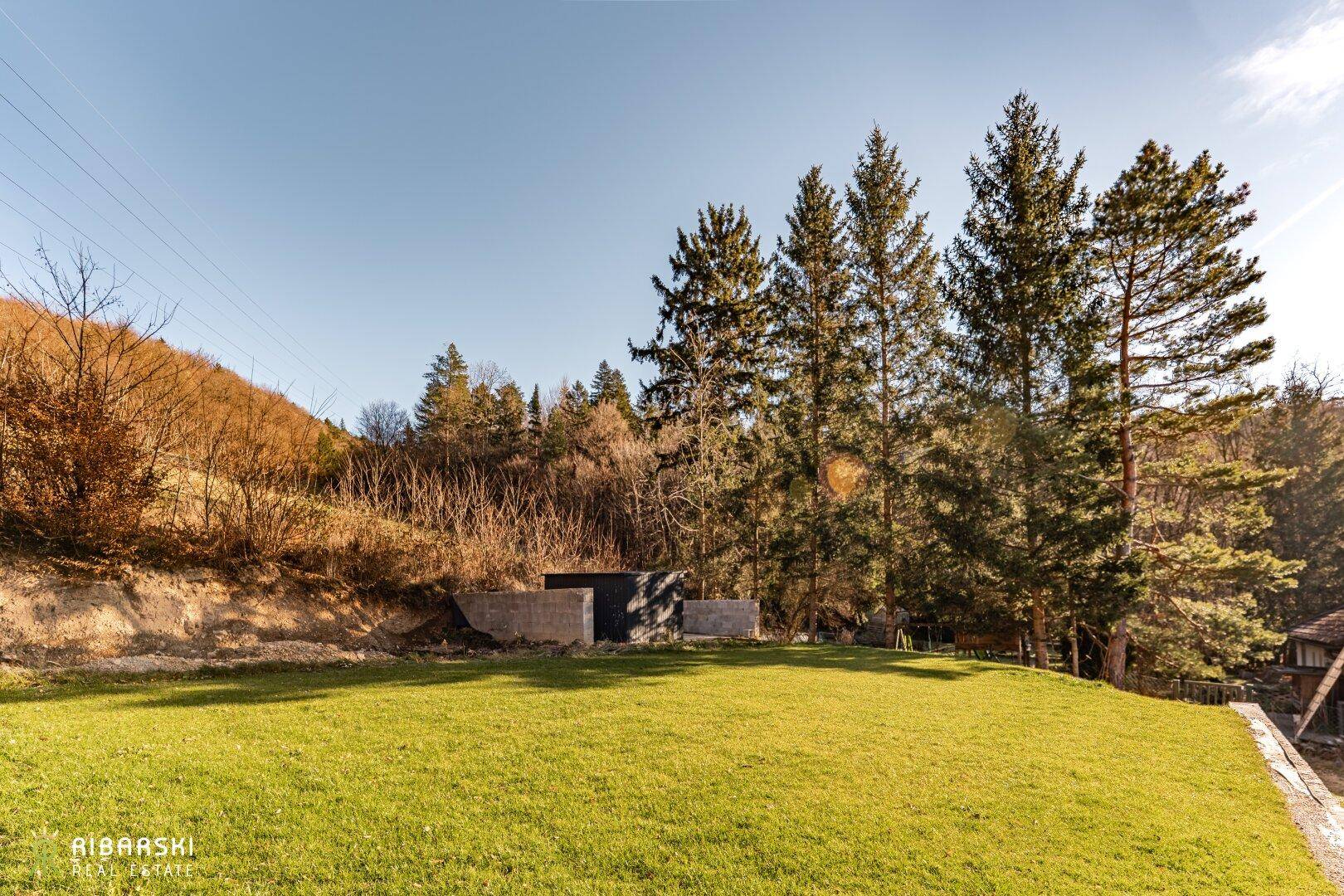 Großer Gartenbereich mit Rasen, hohen Bäumen und viel Platz in natürlicher Umgebung.