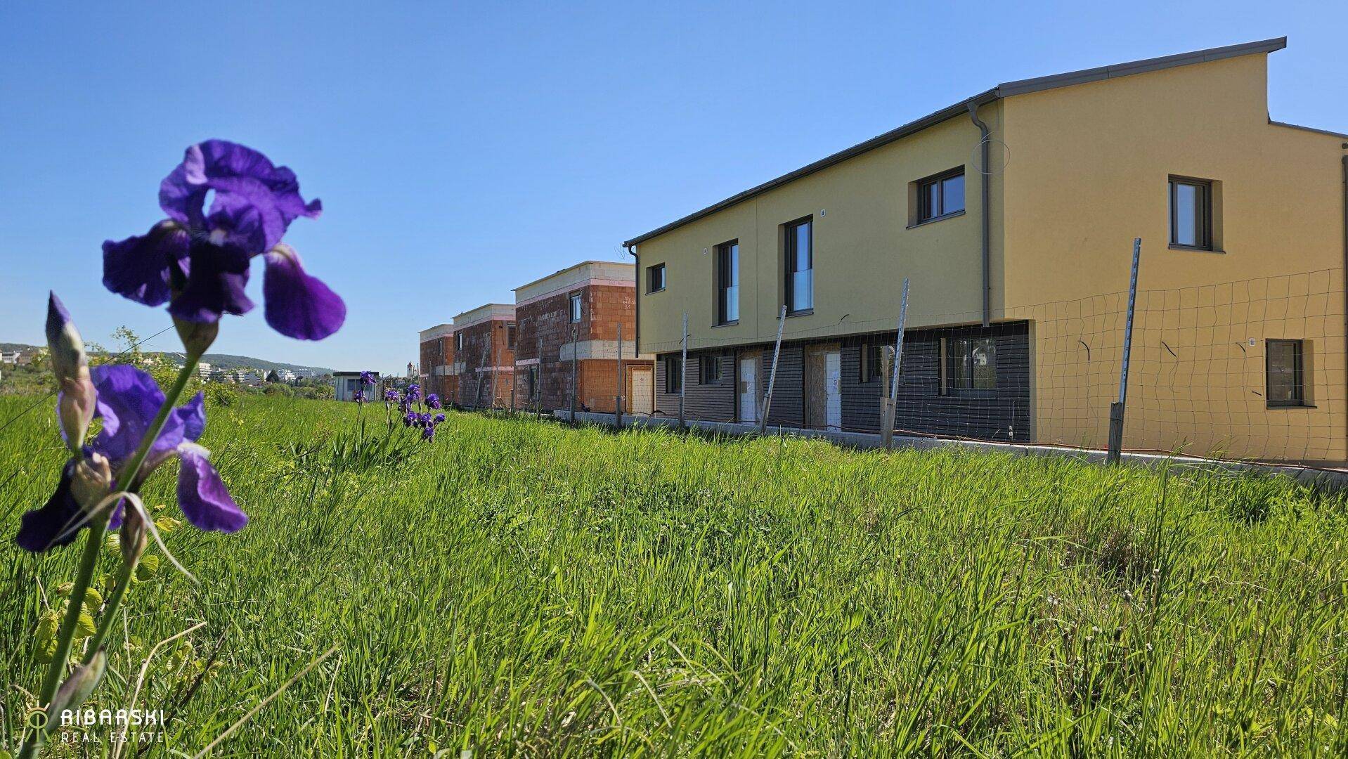 Neue Reihenhäuser in ländlicher Umgebung mit weitem Blick und blühenden Blumen im Vordergrund.