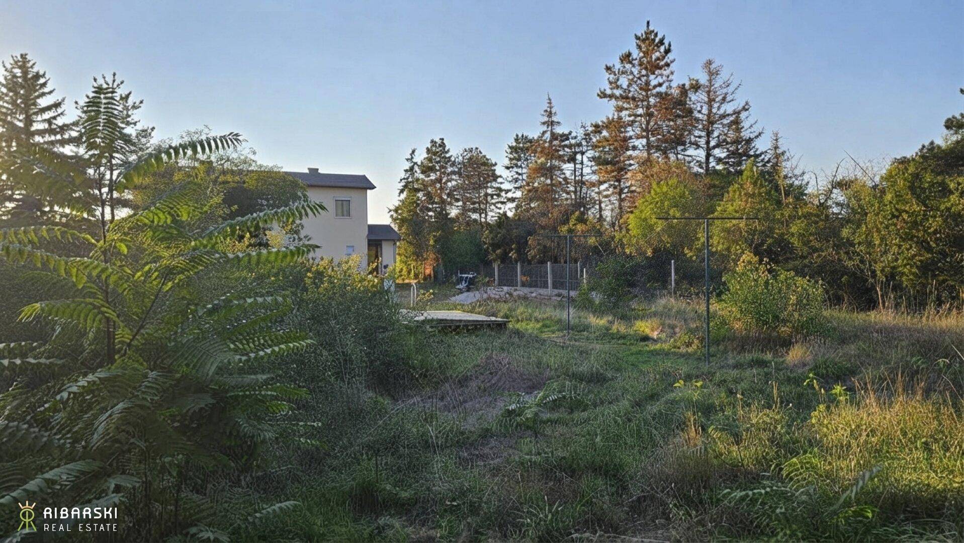 Weitläufiges, grünes Grundstück mit einem Haus im Hintergrund und dichter Vegetation.