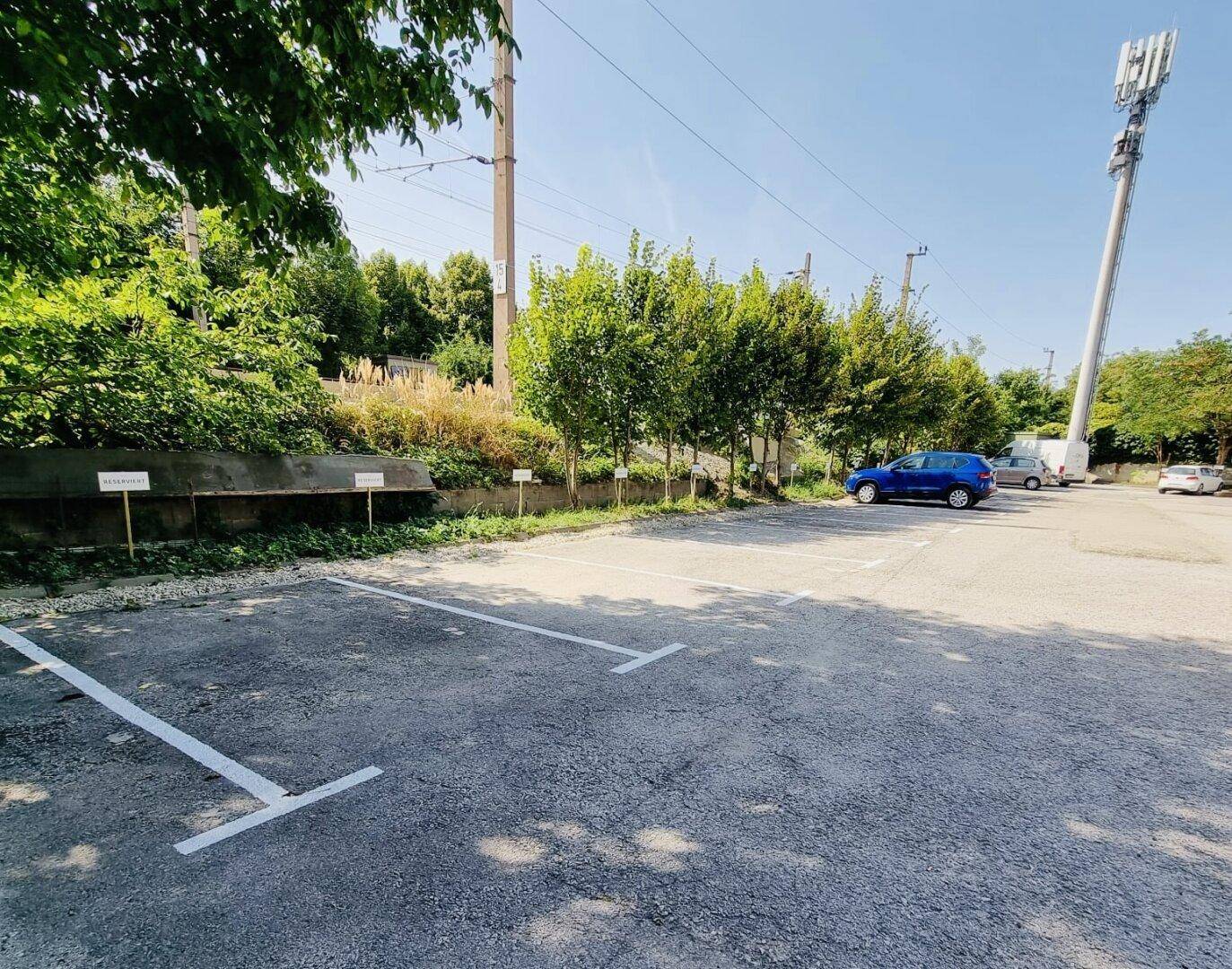 Blick über den Parkplatz mit markierten Stellplätzen, Bäumen und einem Mobilfunkmast in der Ferne.