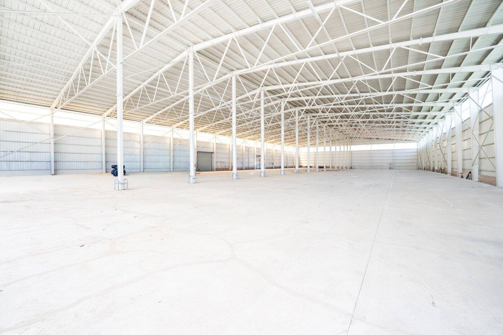 Weitläufiger Innenraum einer modernen Lagerhalle mit weißer Stahlkonstruktion und viel Tageslicht.