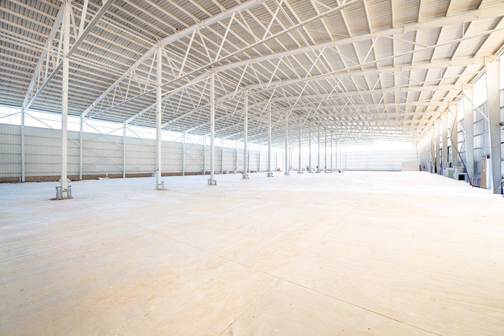Helle und offene Industriehalle mit sauberem Betonboden und sichtbaren Dachbindern, ideal für Lagerung.