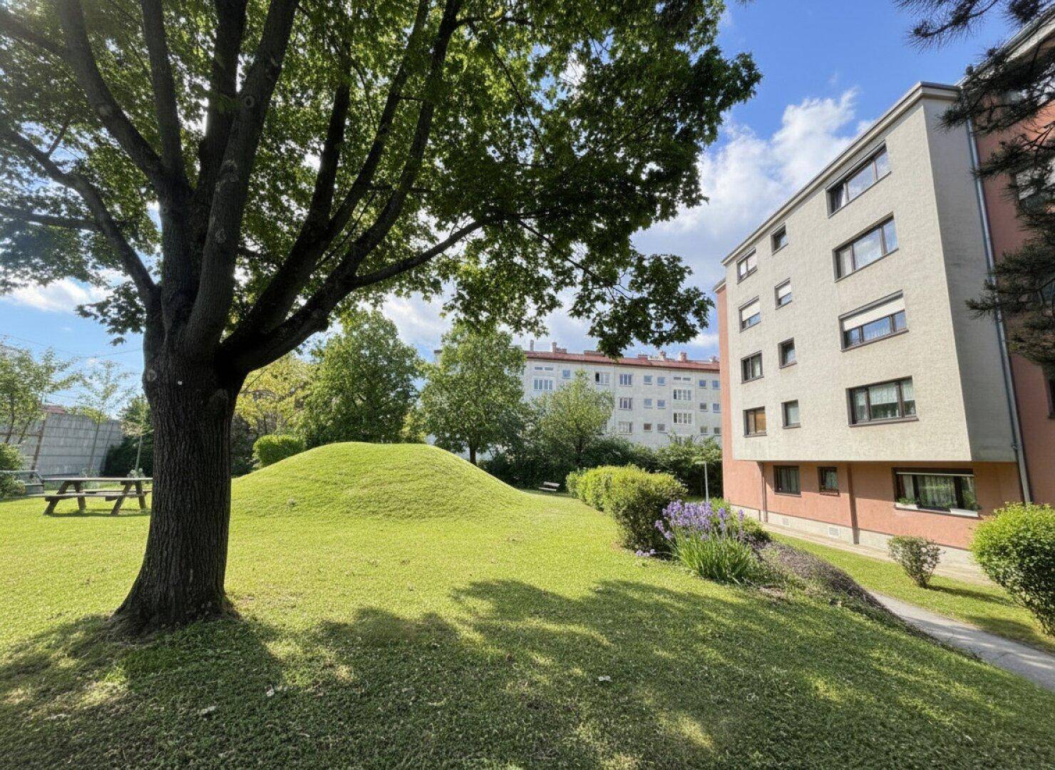 Gepflegte Grünfläche mit einem kleinen Hügel, einem Baum und Wohngebäuden im Hintergrund.