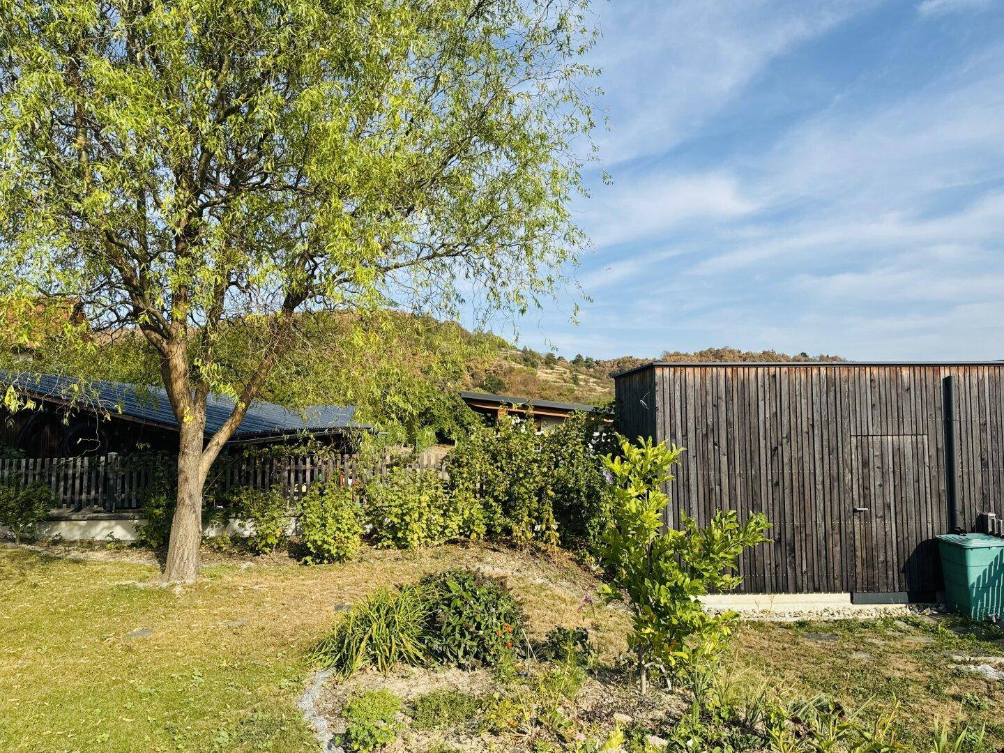 Grüner Gartenbereich mit Bäumen und einem Holzschuppen im Hintergrund.