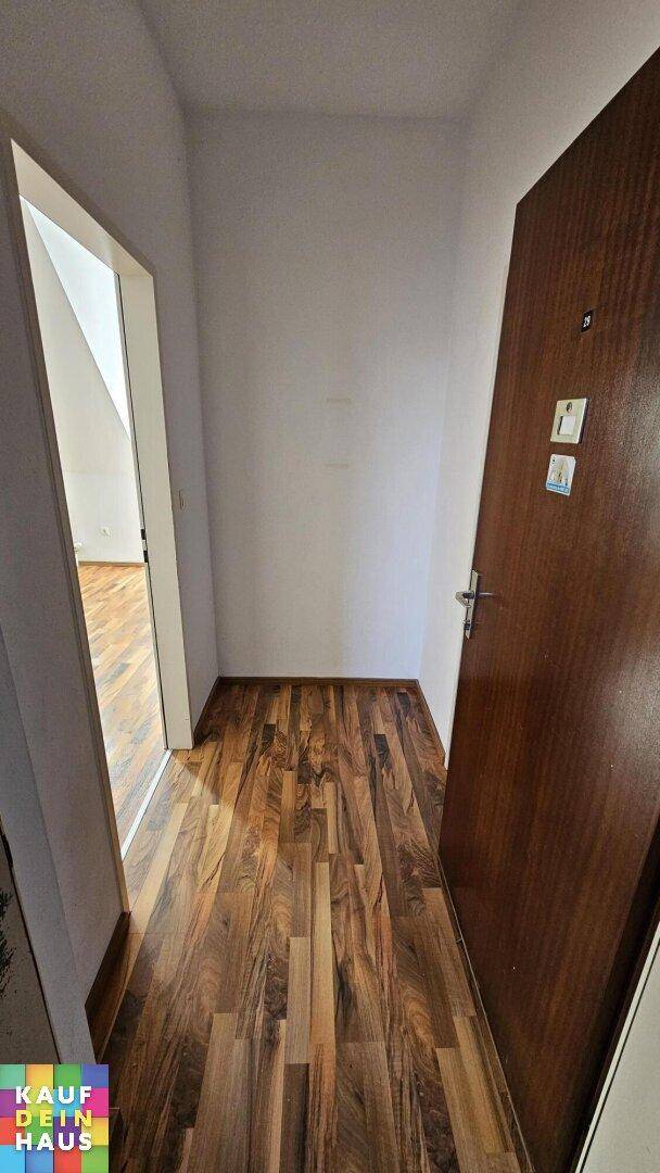 Eingangsbereich mit Laminatboden und Holztür, führt zu weiteren Räumen.