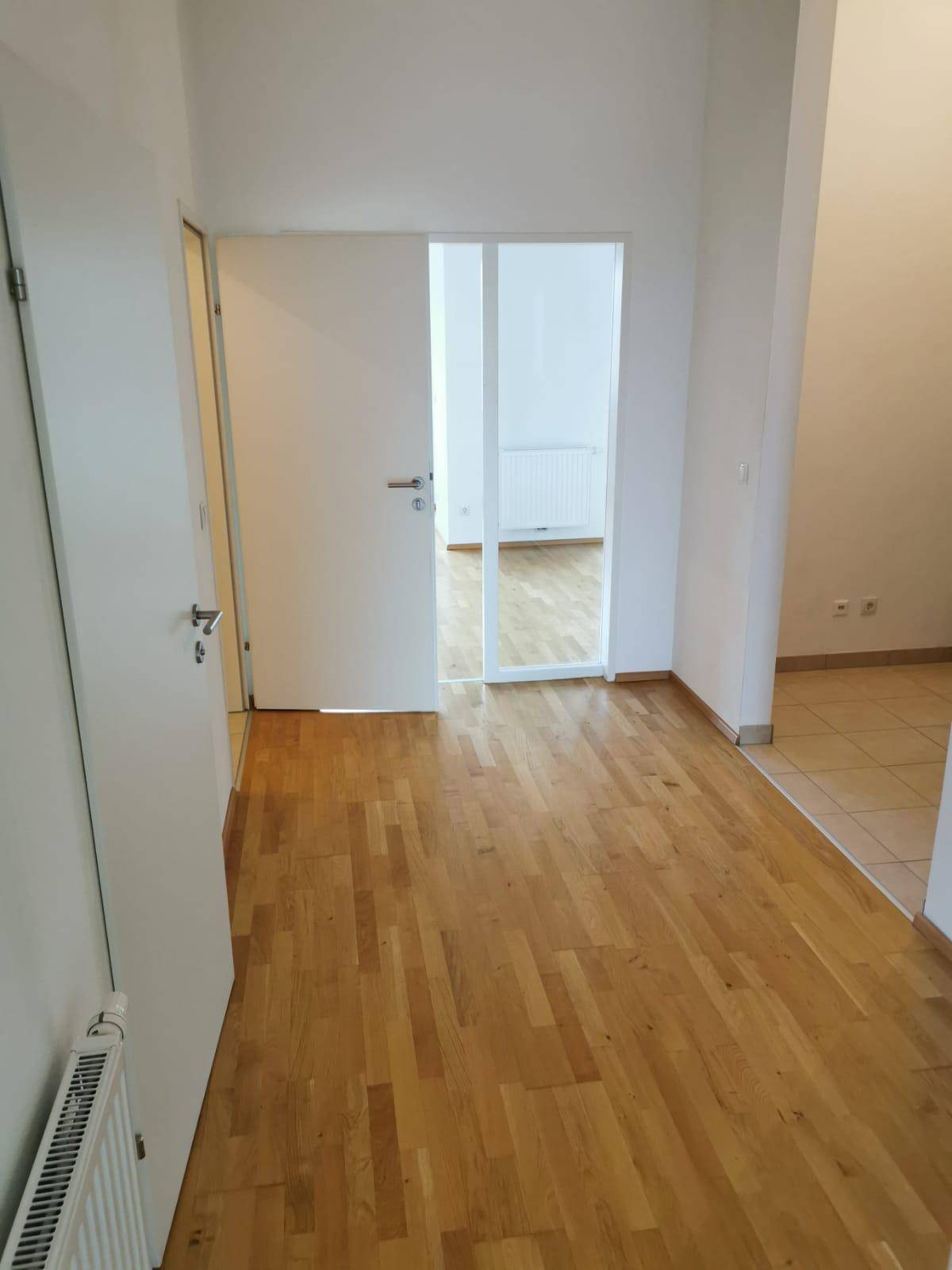 Heller Eingangsbereich mit Holzparkettboden und weiß gestrichenen Wänden, offen zu weiteren Räumen.