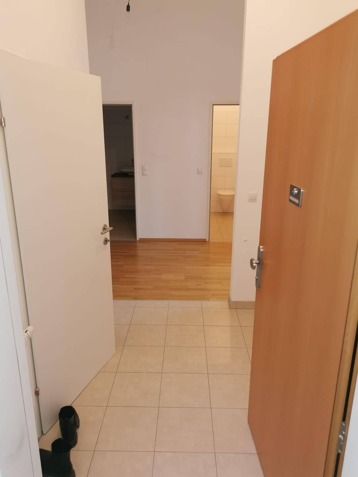 Eingangsbereich mit Fliesenboden und Holztür, die den Blick auf weitere Räume freigibt.