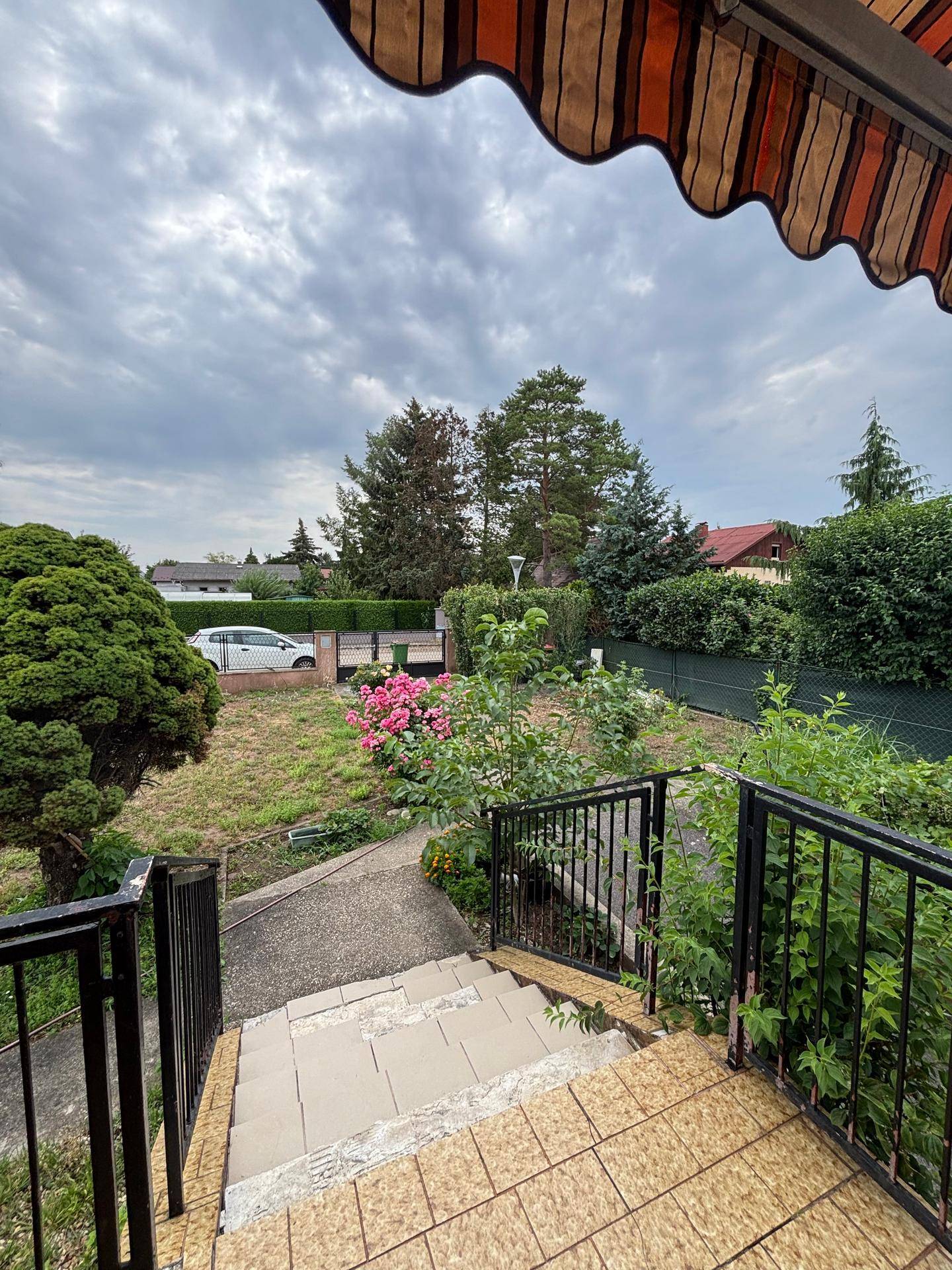Blick von der Terrasse in den Garten mit Rosenbüschen und einer Hecke, umgeben von Bäumen.