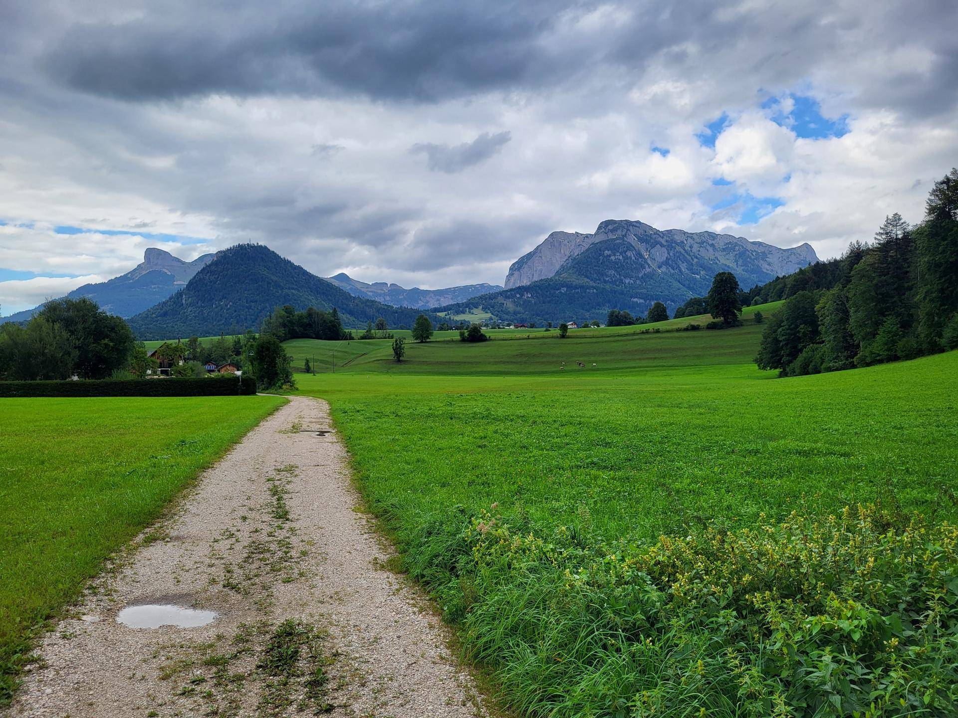 Malerische Landschaft mit grünen Wiesen, Bergen und einem Feldweg unter bewölktem Himmel.